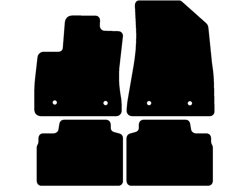 Electric | Twee losse achtermatten | Variant 1