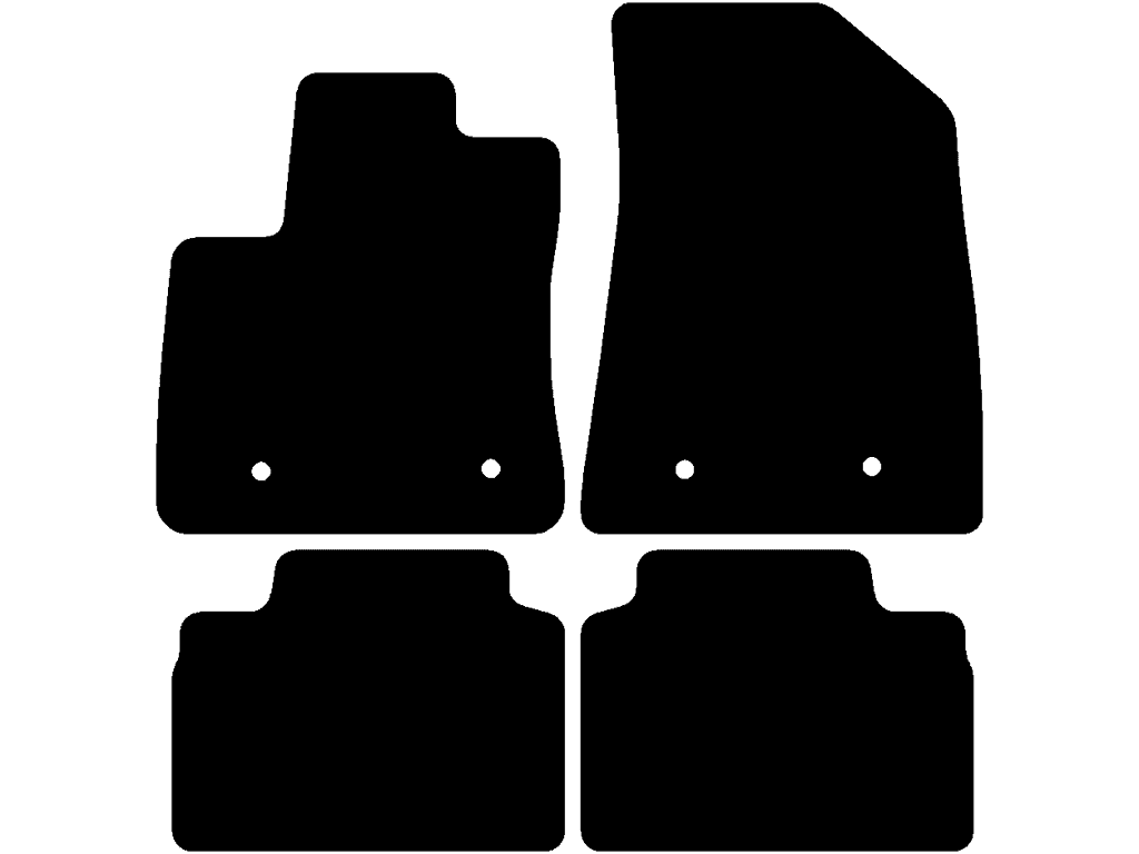 Electric | Twee losse achtermatten | Variant 2